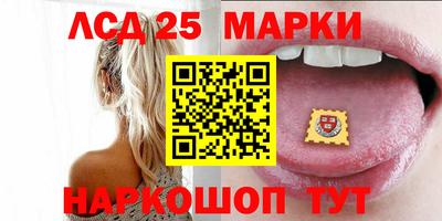амф Дубна