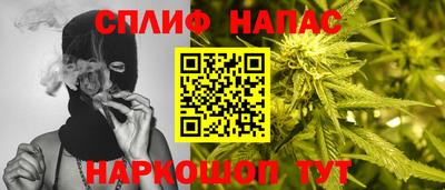 амф Дубна