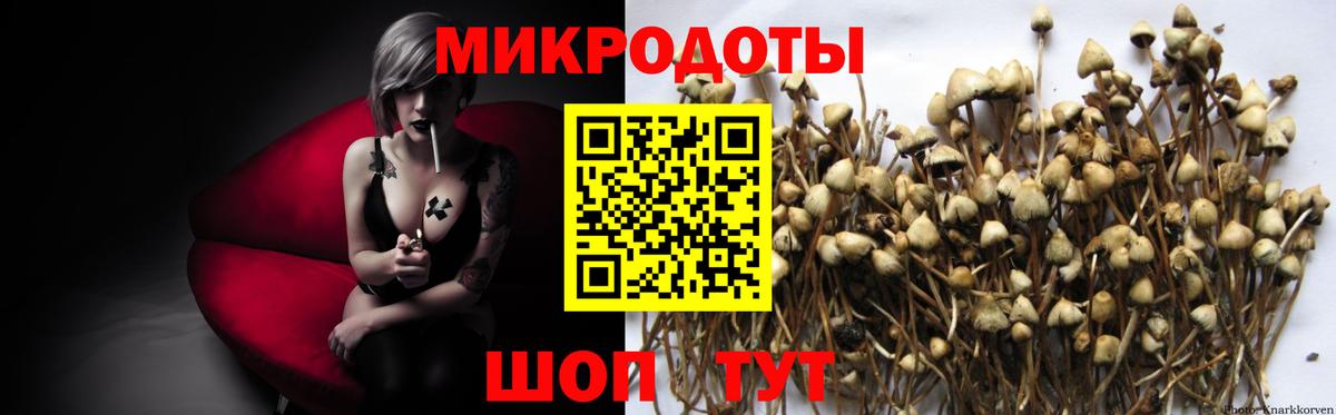 Нижнеудинск  Галлюциногенные грибы мухоморы  Вход с VPN 